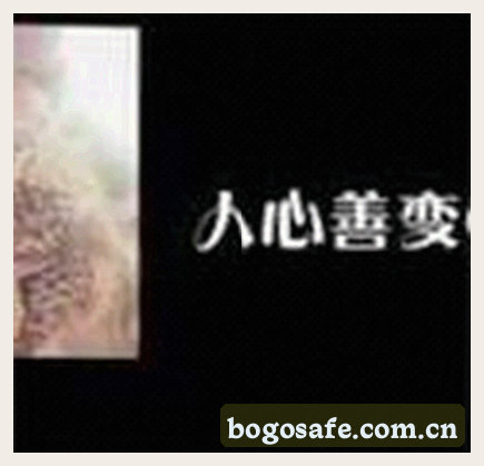 刘洋